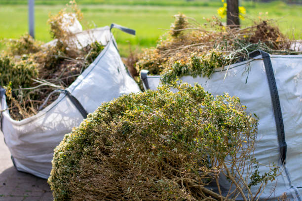 Best Dumpster Rental Services  in Woodlake, VA